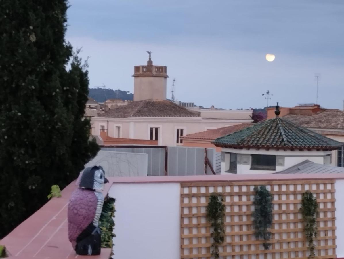 Apartaments L'Arc Palafrugell Exterior foto